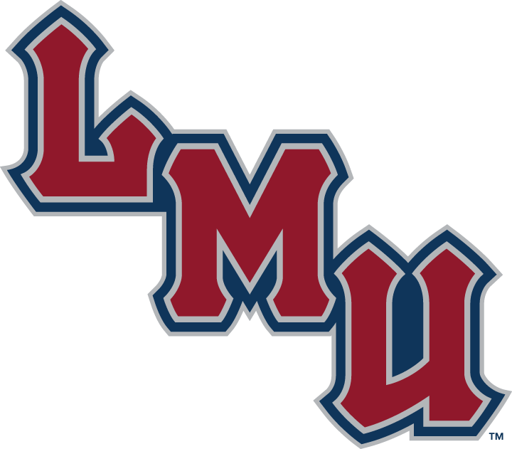 Loyola Marymount Lions 2001-Pres Wordmark Logo v4 diy iron on heat transfer...